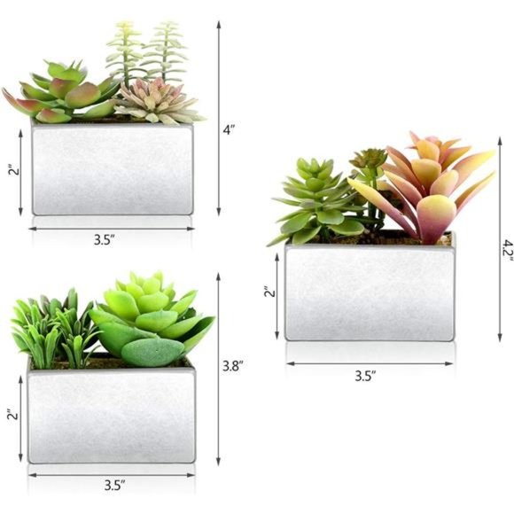 Artificial Succulents in Pots, Succulents Plants Artificial with Pot, Home Decor - Picture 2 of 6